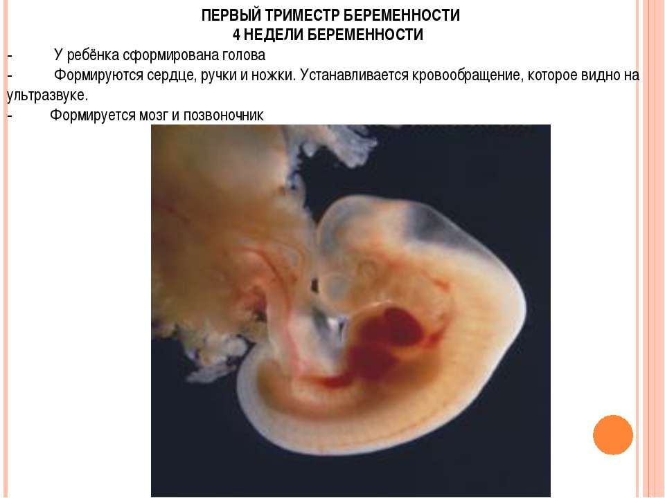 Недоношенный ребенок (педиатрия)