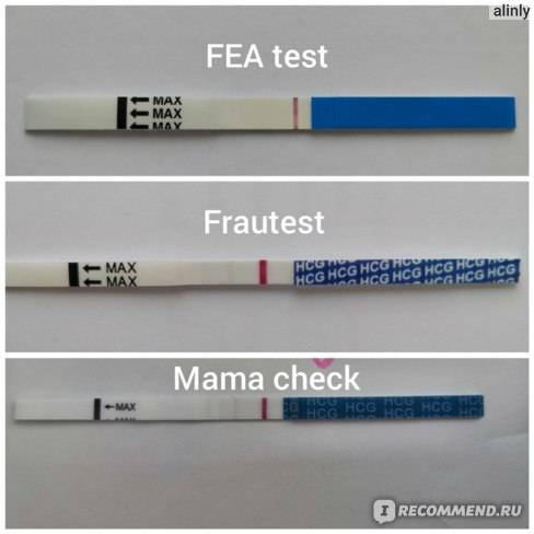 Когда делать тест на беременность? родильный дом leleka | статьи информационные | медиацентр | роддом "лелека"