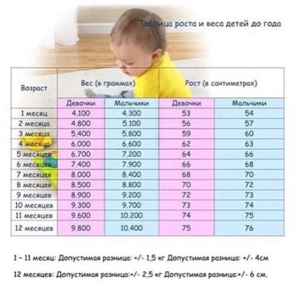 Каким должен быть рост и вес ребенка по месяцам до года: таблица