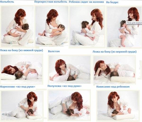 Позы для кормления грудью новорожденного ребенка