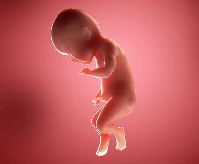 Почему малыш активно шевелится на 34 неделе беременности?