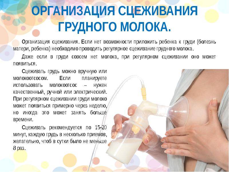 Как возобновить лактацию: 6 причин нарушения и 7 способов вернуть выработку грудного молока