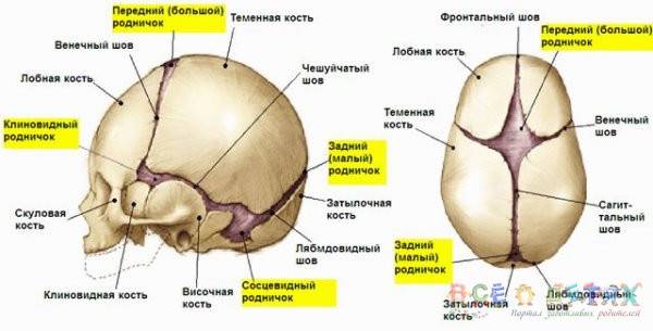 Темечко фото где у человека