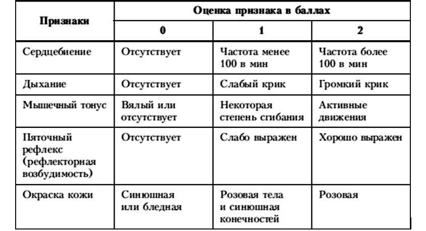 Оценка состояния новорожденного презентация