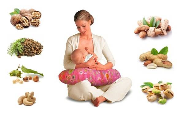 Можно ли фундук при грудном вскармливании: полезные свойства, влияние на молоко матери и жкт ребенка
