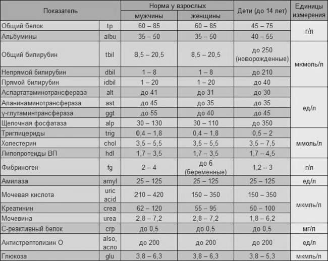 Эритроциты в анализах крови (rbc). норма и отклонения