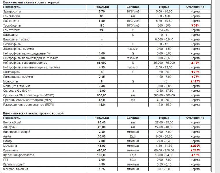 Кровь mcv расшифровка