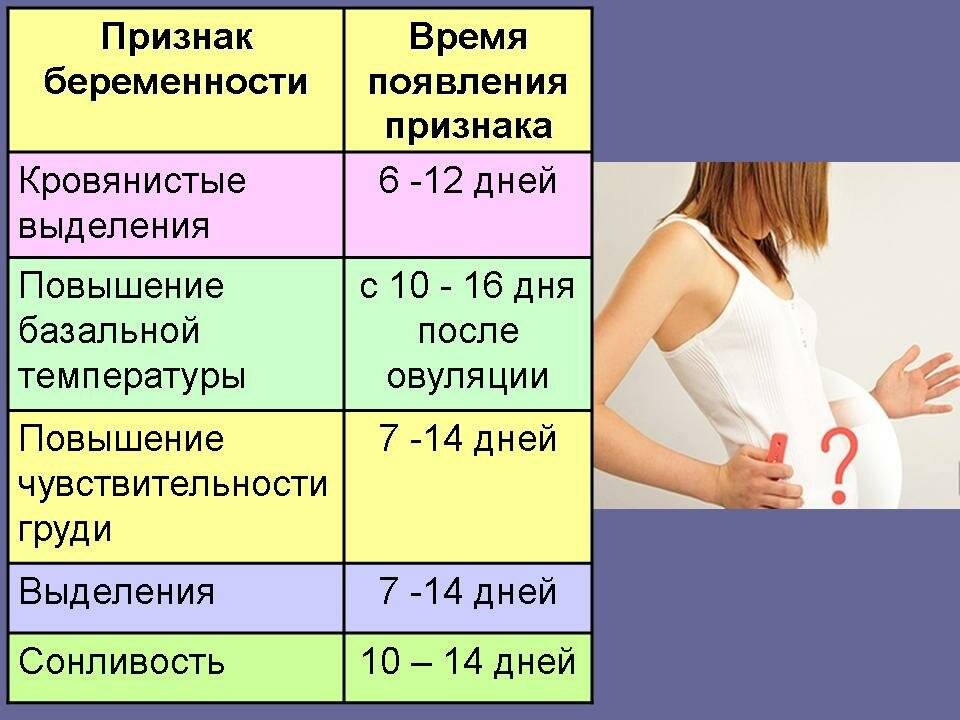 Первые признаки беременности в дни после овуляции