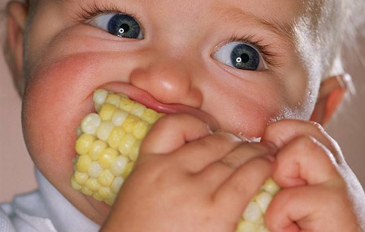 С какого возраста можно детям вареную кукурузу?