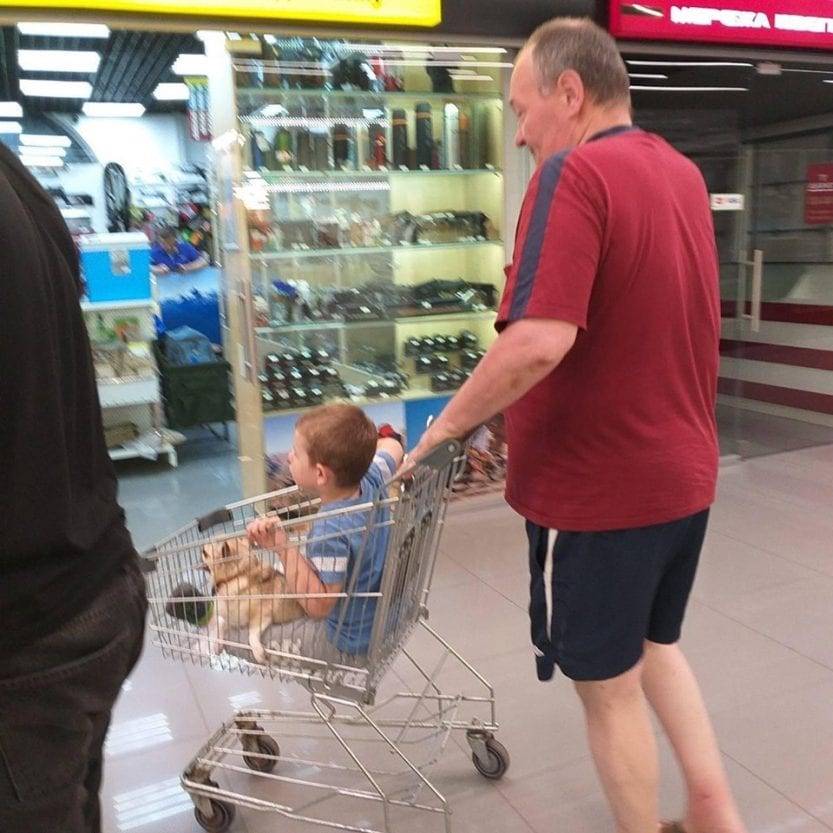 Дети в тележках супермаркетов