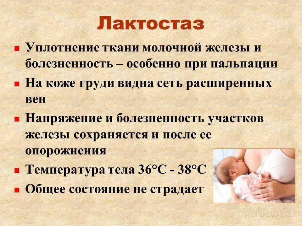 Причины и лечение лактостаза у кормящей матери | проблемы и решения | медицинский центр "лактовита" | москва