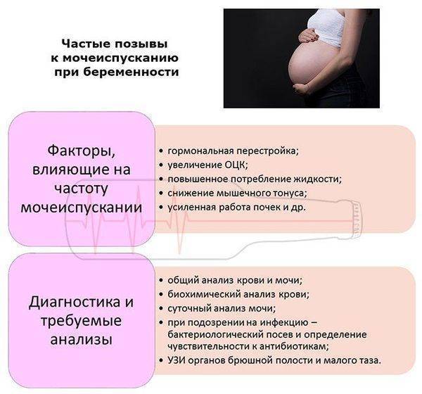Возможна ли беременность без привычных признаков беременности и предпосылки