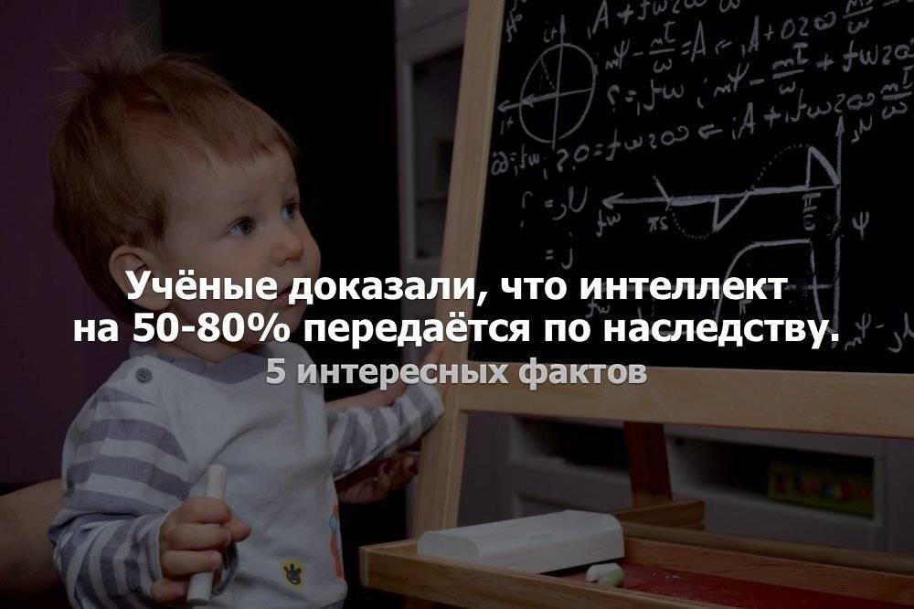 Генетика как передается интеллект и характер. дети наследуют интеллект по материнской линии