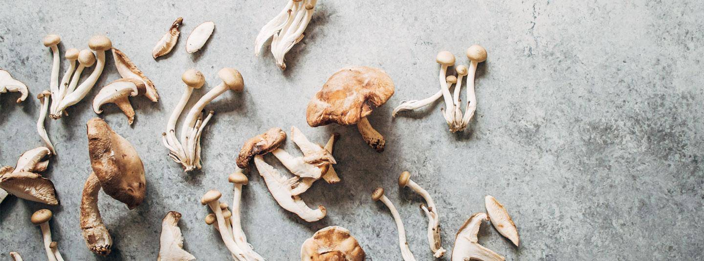 Можно ли кормящим грибы? правила употребления грибов - индасад