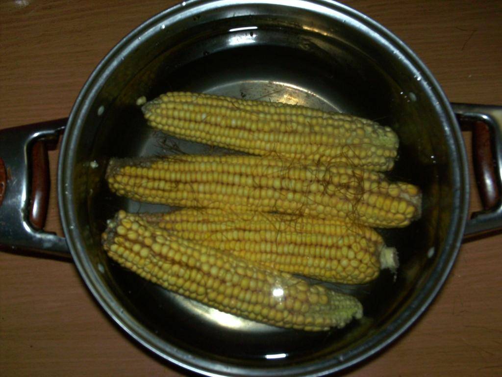 Кукуруза при грудном вскармливании: можно ли кушать, советы