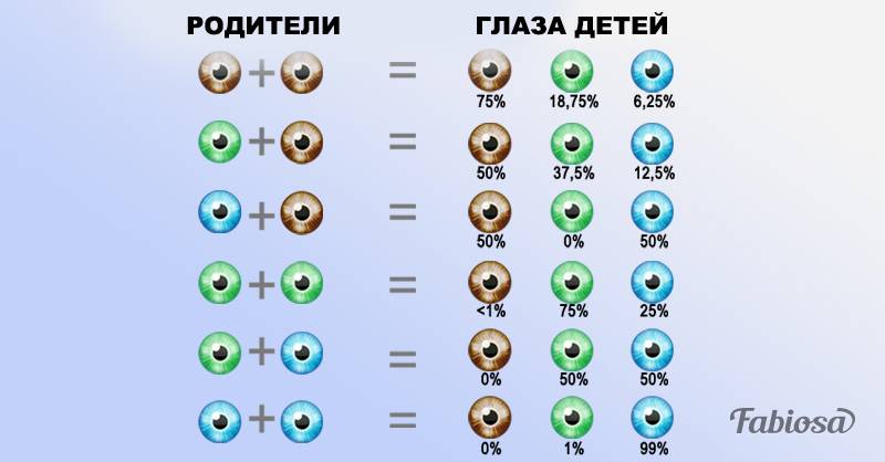 Цвет глаз ребенка: таблица. как определить цвет глаз будущего ребенка