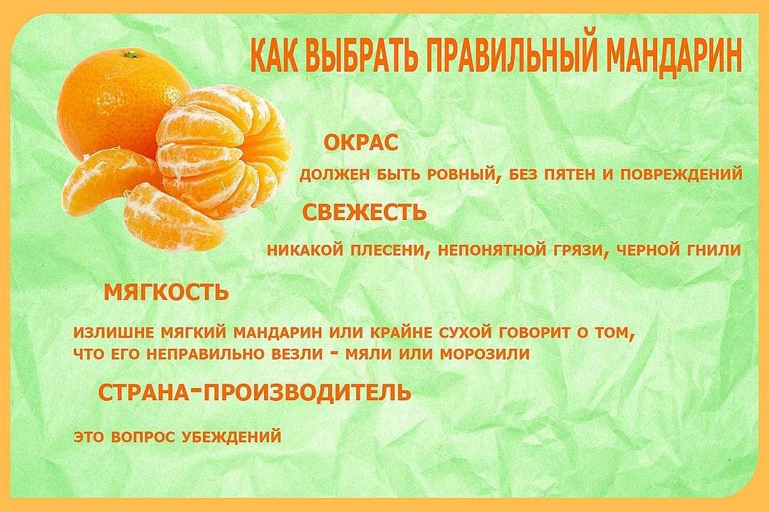 С какого возраста можно апельсины детям? польза сока из апельсин