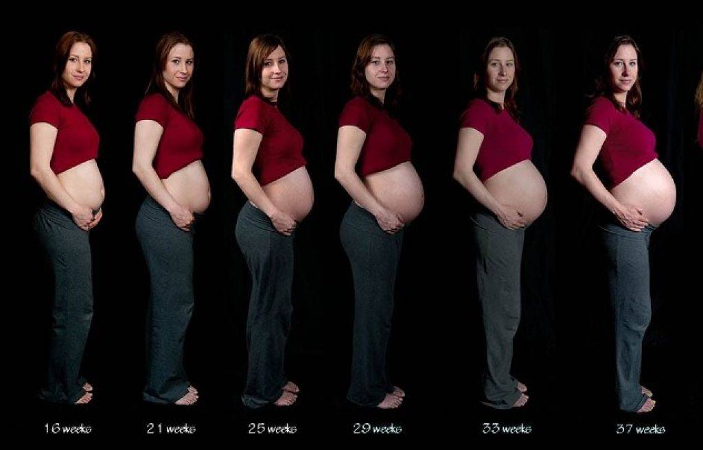 Живот на 2 части. Живот при беременности. Живот по неделям беременности. Живот у беременных по месяцам. Размер живота у беременных по месяцам.