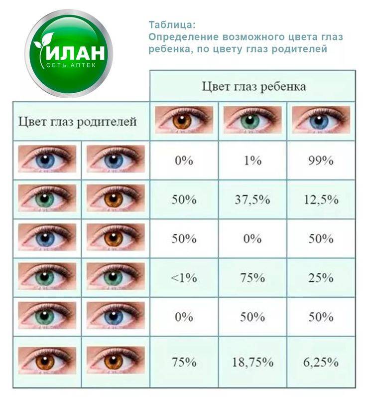 Какой цвет глаз у ребёнка будет от родителей - таблица oculistic.ru
какой цвет глаз у ребёнка будет от родителей - таблица
