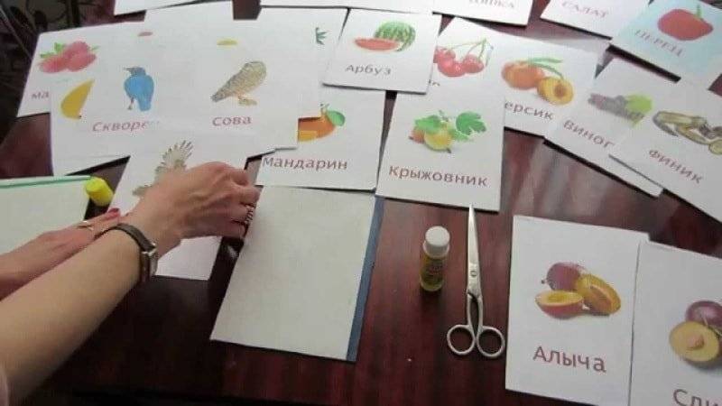 Карточки глена домана и его методика раннего развития для самых маленьких: описание, инструкции