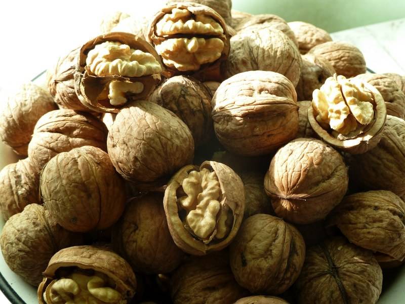 Можно ли грецкие орехи при грудном вскармливании: польза и вред