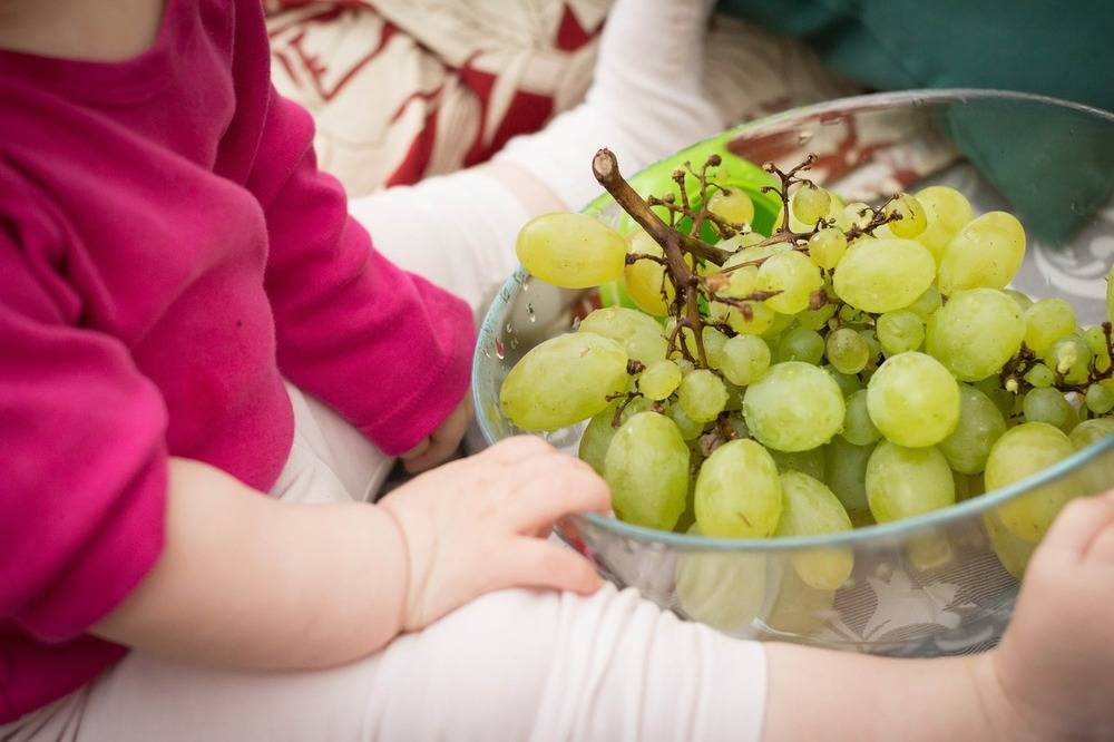 Виноград детям с какого возраста? аллергия на виноград у ребенка