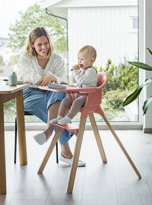 Топ 11 стульчиков для кормления 2020-2021: рейтинг лучших по отзывам родителей