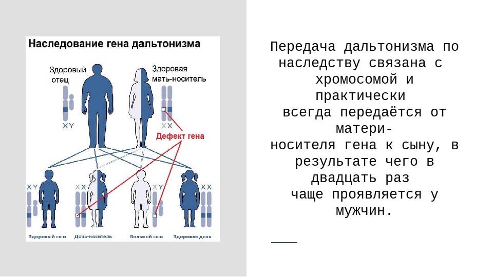 5 черт, которые мы наследуем от мамы, и 4 – от папы