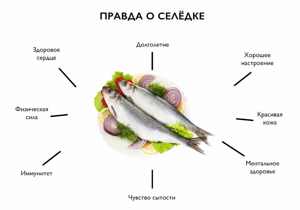 Можно ли селедку при грудном вскармливании