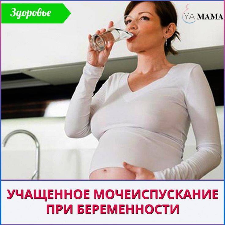 Частое мочеиспускание во время беременности | pampers ru