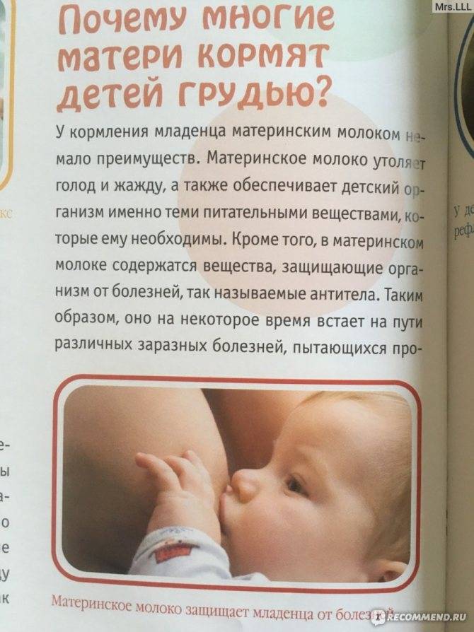 Овсяная каша при грудном вскармливании: можно ли употреблять в первый месяц матери, а также как правильно ввести геркулесовые хлопья в рацион ребенка?
