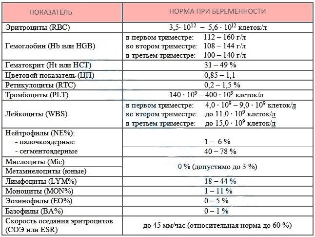 Норма соэ при беременности в 1, 2, 3 триместре (таблица) - kardiobit.ru