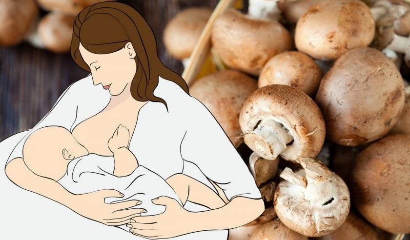 Можно ли грибы при грудном вскармливании кормящей маме