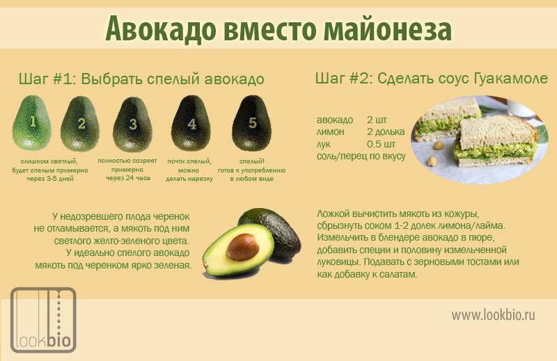 Авокадо при беременности: важные аспекты правильного питания. авокадо для беременных: польза или вред