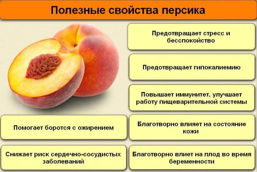 Персики во время беременности