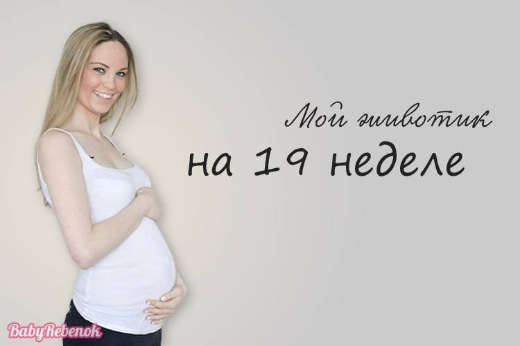 19 неделя беременности: мальчик или девочка.