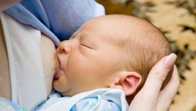 12 дельных рекомендаций, как приучить ребенка к груди и вернуть грудное вскармливание