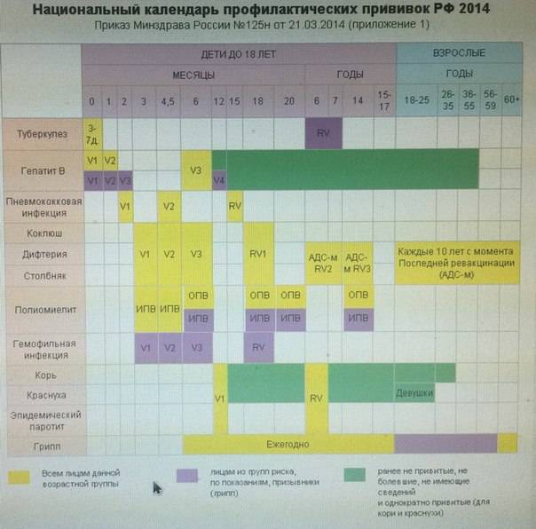 Календарь прививок детям до 1 года: таблица и график вакцинации новорожденных