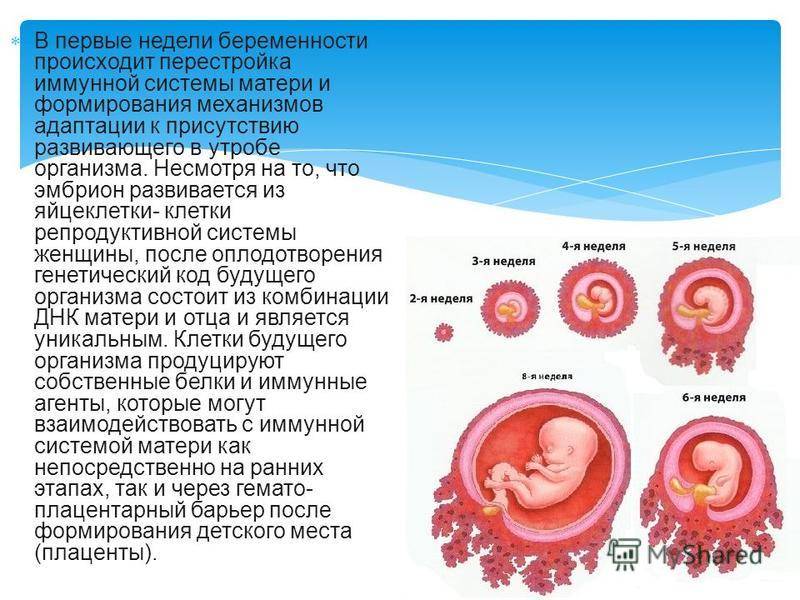 Орви и беременность. – клиника «9 месяцев»
