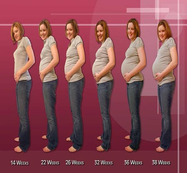 ᐉ выглядит живот по неделям беременности. за счет чего во время беременности происходит увеличение живота? ощущения при росте живота во время беременности - ➡ sp-kupavna.ru
