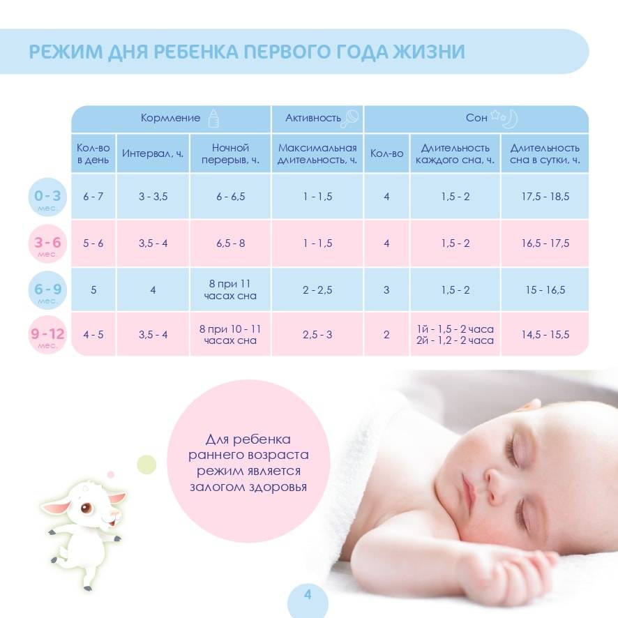 Сколько должен спать ребенок к 11 месяцев, примерный режим дня
