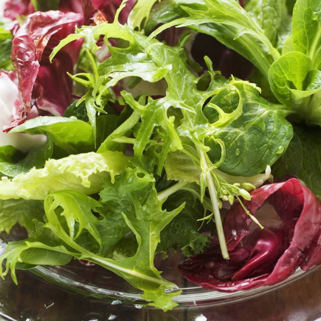 Листья салата при грудном вскармливании: польза и употребление
