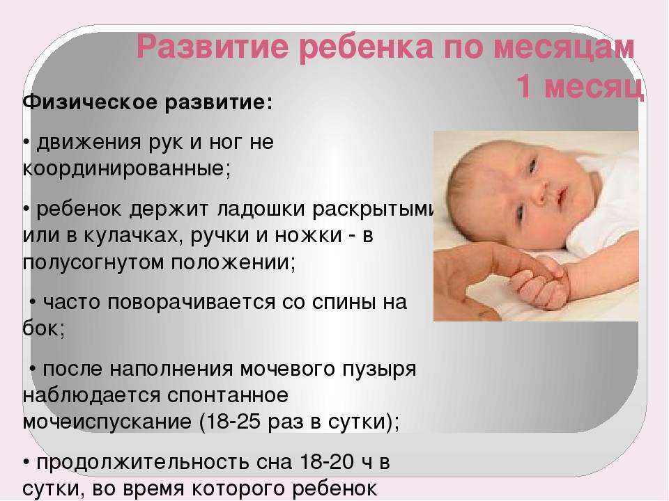 Развитие ребенка в 4 месяца - топотушки
