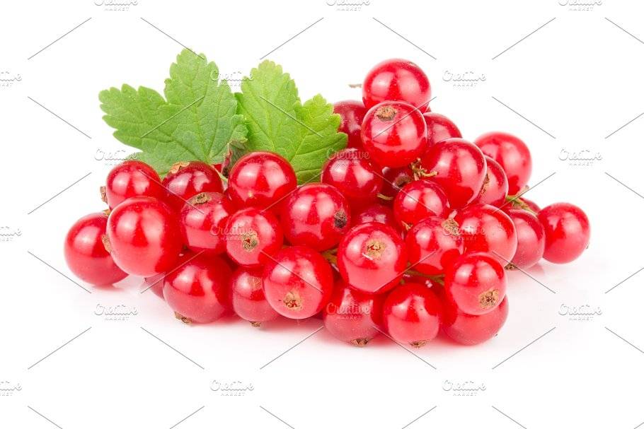 Вкусная ягодка — красная смородина: полезные свойства и противопоказания для организма человека