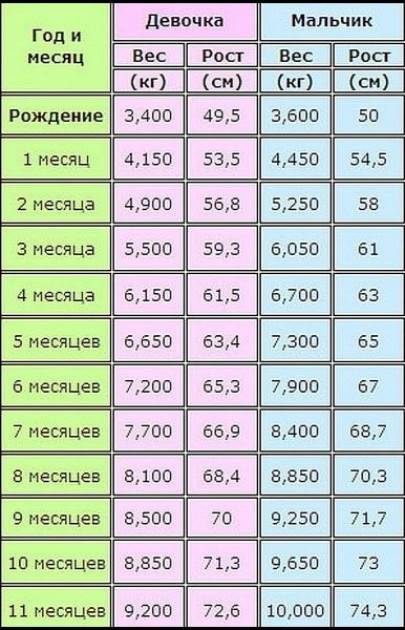 Развитие ребенка в 9 месяцев: что должен уметь ребенок в девять месяцев, норма роста и веса / mama66.ru