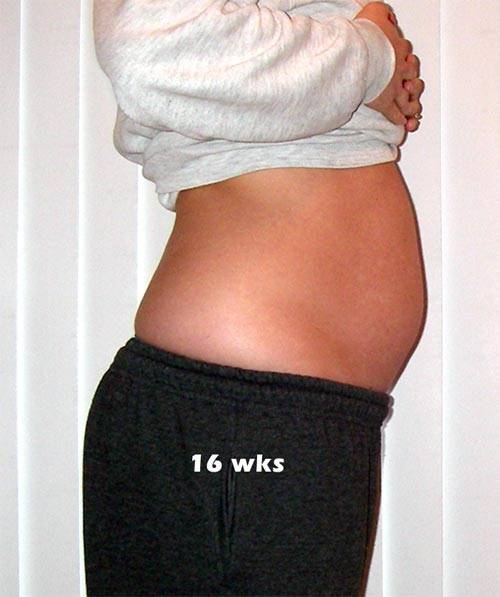 16 неделя беременности: что происходит в организме женщины и плода