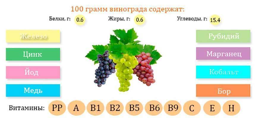 С какого возраста можно виноград ребенку: польза, противопоказания и в каком количестве можно давать виноград малышу
