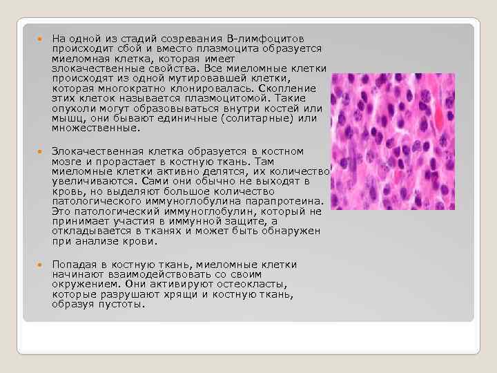 Токсоплазмоз: анализ крови, показания, причины, обследование
