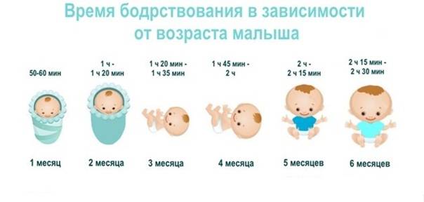 Сколько должен спать и бодрствовать новорожденный ребёнок
