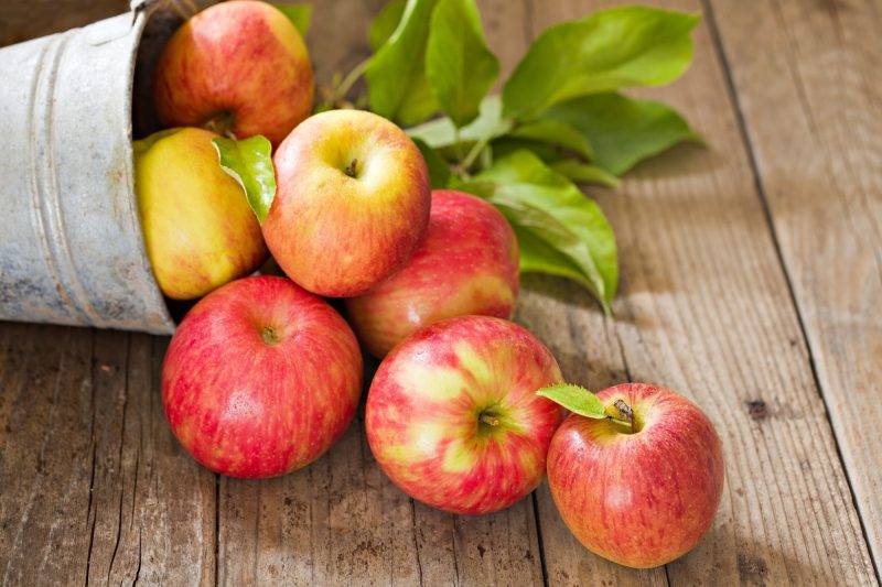 Яблоки при грудном вскармливании: зеленые, красные и печеные